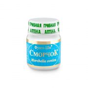 Сморчок (morchella conica)