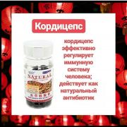 Капсулы «Кордицепс» (Cordyceps).